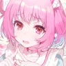 drz